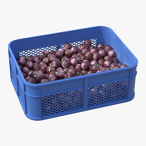 3D model Plum Plastic Crate