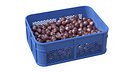 Plum Plastic Crate