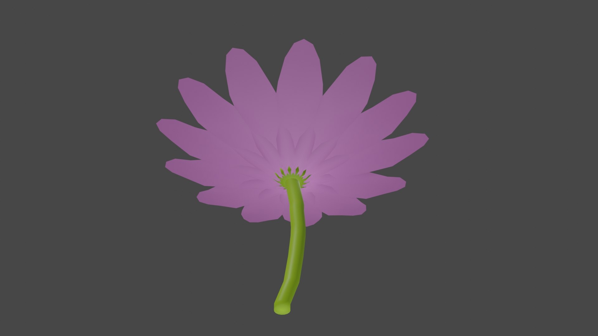 3D marguerite flower https://p.turbosquid.com/ts-thumb/l0/CBnSu4/hT/50001/jpg/1674893668/1920x1080/fit_q87/958239be537126891e116f1324333b5502f99492/50001.jpg
