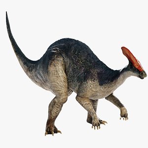 Parasaurolophus 3D Rigged