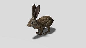 rabbit blender 3D model
