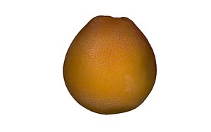grapefruit fruits 3D model