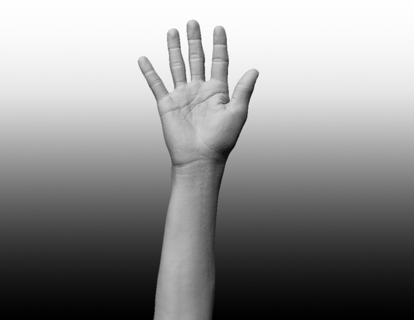 Resolution Scan Male Arm Obj