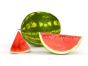 watermelon melon model