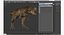 Tyrannosaurus Rex Walking