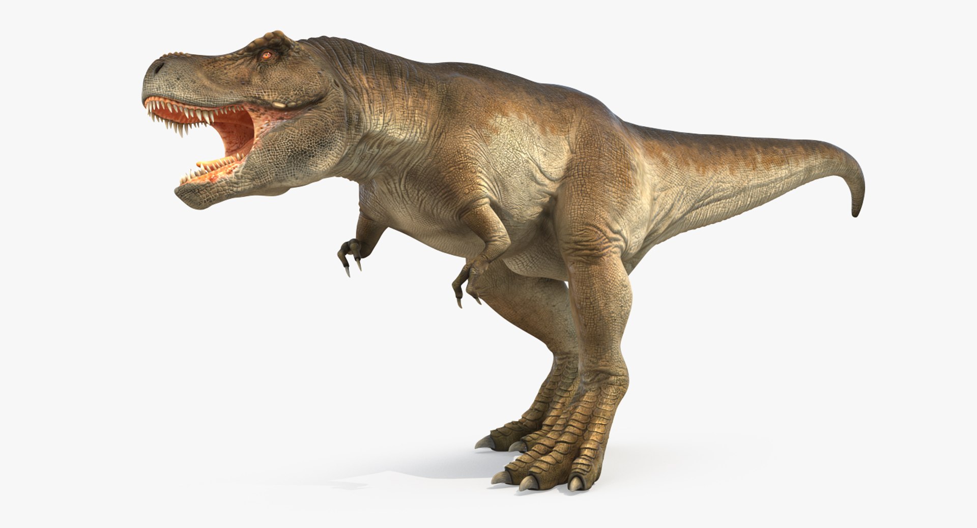 tyrannosaurus rex walking max https://p.turbosquid.com/ts-thumb/l0/u7BYqB/71PFFeuA/tyrannosaurusrexwalkingmb3dmodel003/jpg/1484898017/1920x1080/fit_q87/cc6faa7a0515ba4844c743f1645b5473d92a227a/tyrannosaurusrexwalkingmb3dmodel003.jpg