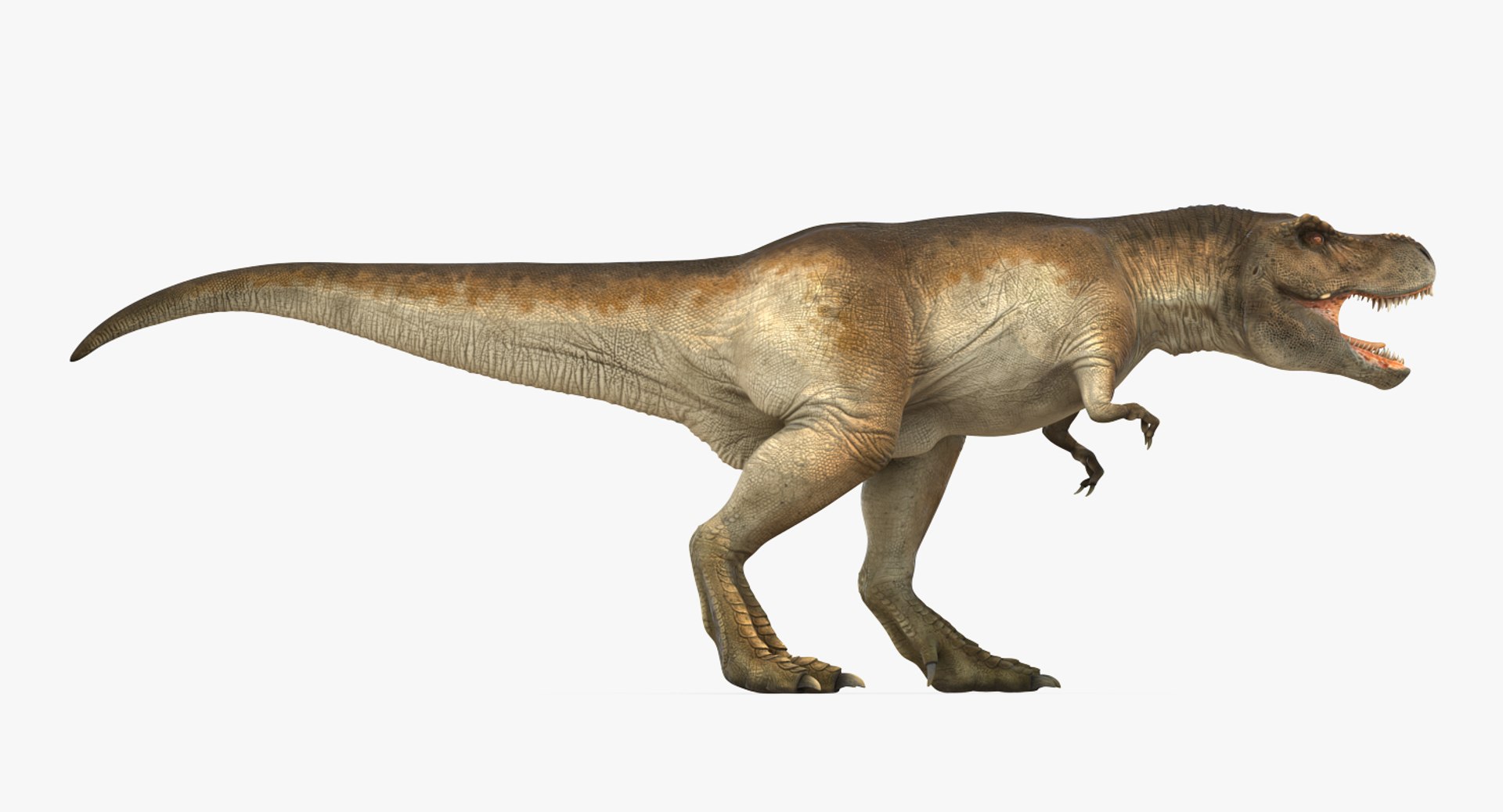 tyrannosaurus rex walking max https://p.turbosquid.com/ts-thumb/l0/u7BYqB/G2ChJjRW/tyrannosaurusrexwalkingmb3dmodel002/jpg/1484898017/1920x1080/fit_q87/982302bfe29245465870f5016f5f8a5ce4e9bf95/tyrannosaurusrexwalkingmb3dmodel002.jpg
