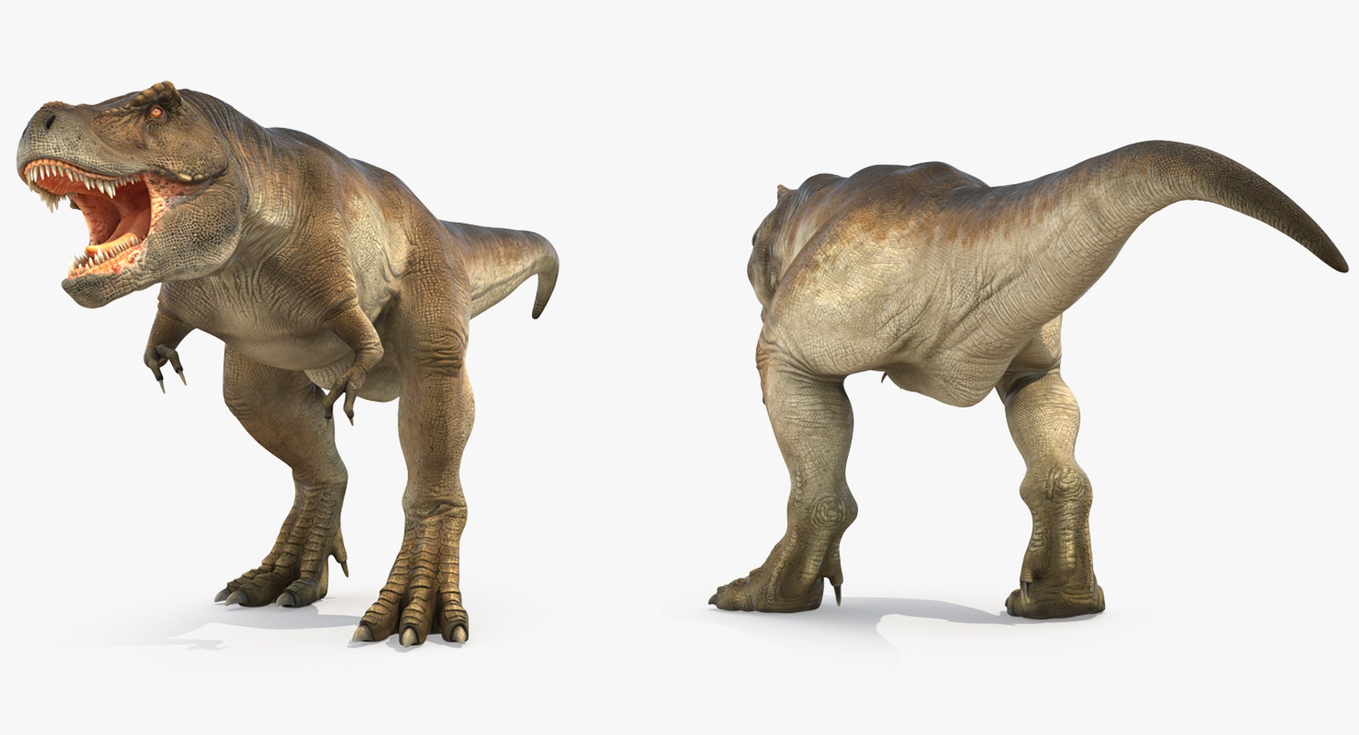 tyrannosaurus rex walking max https://p.turbosquid.com/ts-thumb/l0/u7BYqB/P39RSzAA/tyrannosaurusrexwalkingmb3dmodel005/jpg/1484898017/1920x1080/fit_q87/ac0ee3709533012cdb430a99c4882fde8b636144/tyrannosaurusrexwalkingmb3dmodel005.jpg