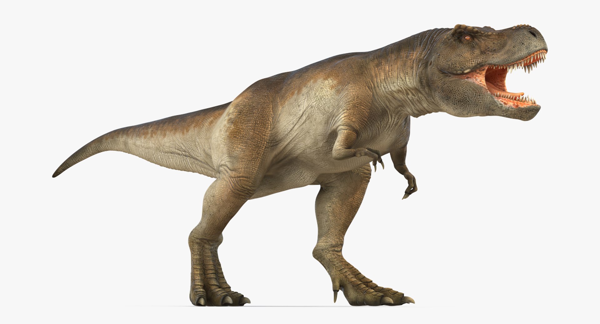 tyrannosaurus rex walking max https://p.turbosquid.com/ts-thumb/l0/u7BYqB/VxOKU1II/tyrannosaurusrexwalkingmb3dmodel010/jpg/1484898017/1920x1080/fit_q87/e83eb1a1e63894568affcc90a422f6e7c5643871/tyrannosaurusrexwalkingmb3dmodel010.jpg