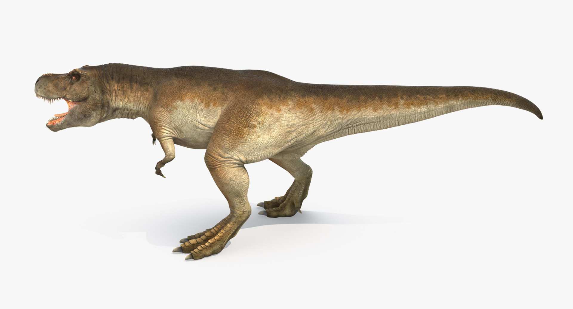tyrannosaurus rex walking max https://p.turbosquid.com/ts-thumb/l0/u7BYqB/qOng3Qpq/tyrannosaurusrexwalkingmb3dmodel006/jpg/1484898017/1920x1080/fit_q87/2611ebb11b9dfa1ef573cddb9cbc0dd57e8ec0bc/tyrannosaurusrexwalkingmb3dmodel006.jpg