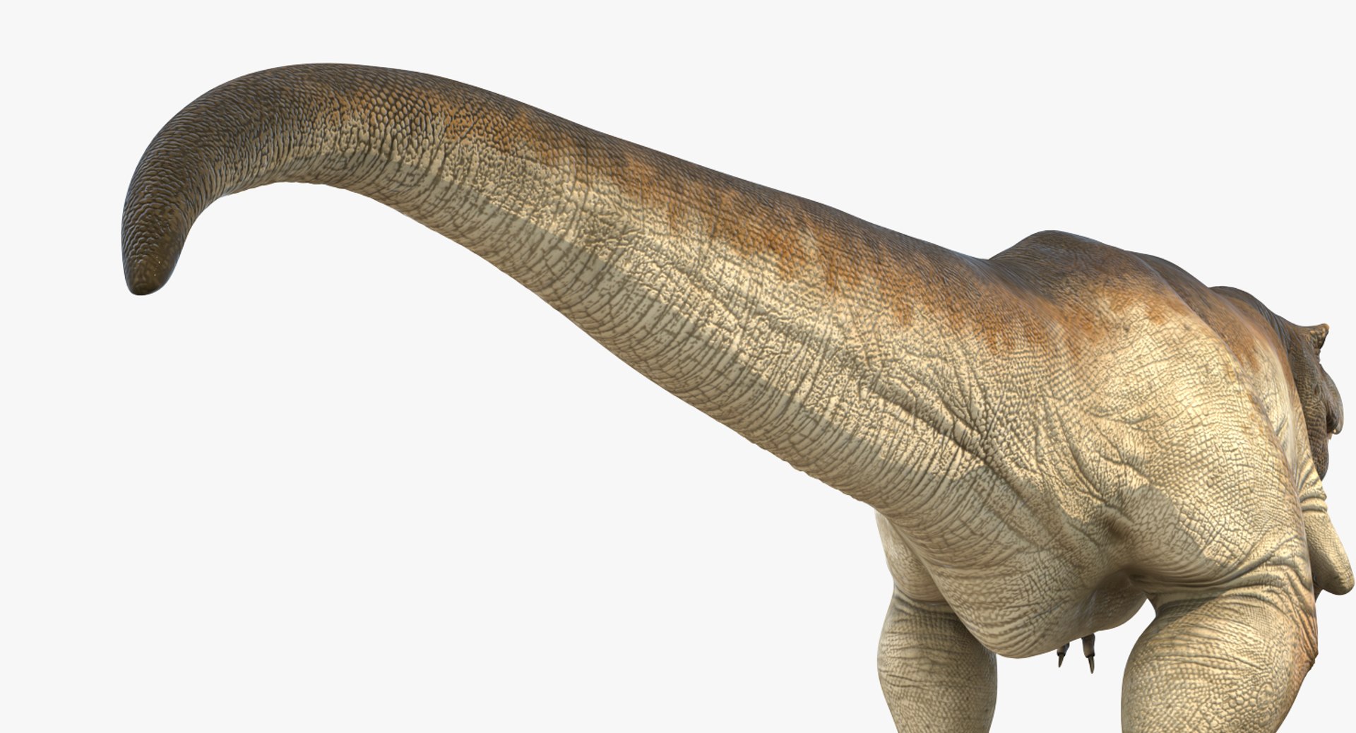 tyrannosaurus rex walking max https://p.turbosquid.com/ts-thumb/l0/u7BYqB/rfYcOHA8/tyrannosaurusrexwalkingmb3dmodel017/jpg/1484898017/1920x1080/fit_q87/95d6080bc82fbe3fe5febea9afae5c2eaa3e2cc6/tyrannosaurusrexwalkingmb3dmodel017.jpg