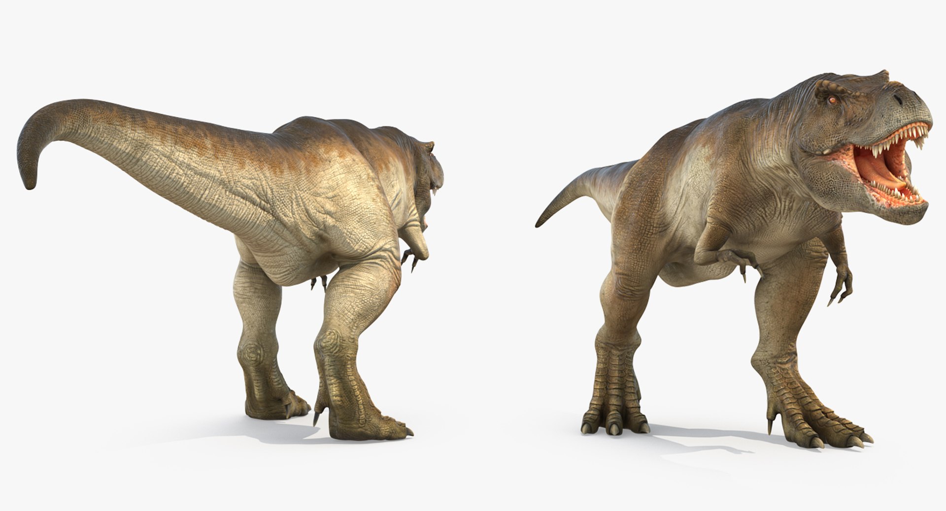 tyrannosaurus rex walking max https://p.turbosquid.com/ts-thumb/l0/u7BYqB/s2Q1ooF2/tyrannosaurusrexwalkingmb3dmodel009/jpg/1484898017/1920x1080/fit_q87/e44e3e78870c5f39fabb38224a8f028f7c5c4b02/tyrannosaurusrexwalkingmb3dmodel009.jpg