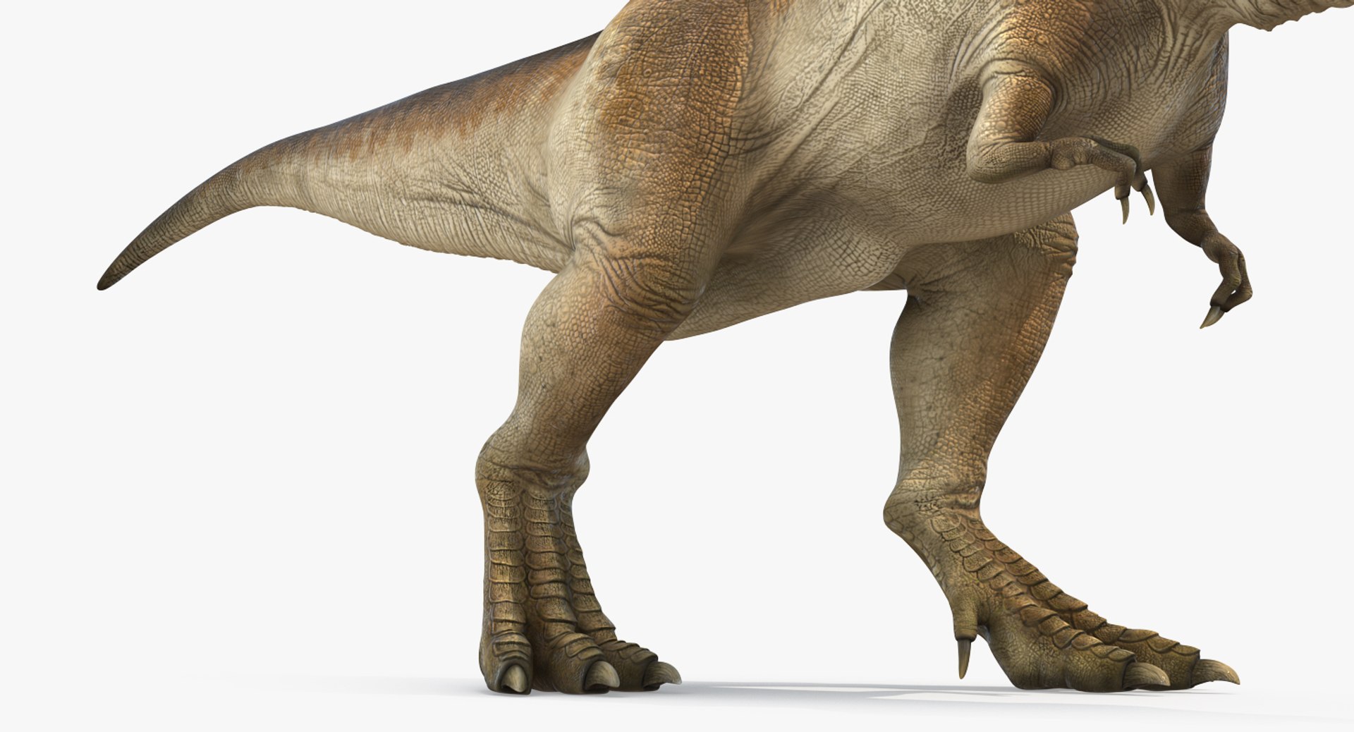 tyrannosaurus rex walking max https://p.turbosquid.com/ts-thumb/l0/u7BYqB/t7l1x8u6/tyrannosaurusrexwalkingmb3dmodel014/jpg/1484898017/1920x1080/fit_q87/5bfb986fcf3d7228d4cf87c5d0d5a3a17509bcb0/tyrannosaurusrexwalkingmb3dmodel014.jpg