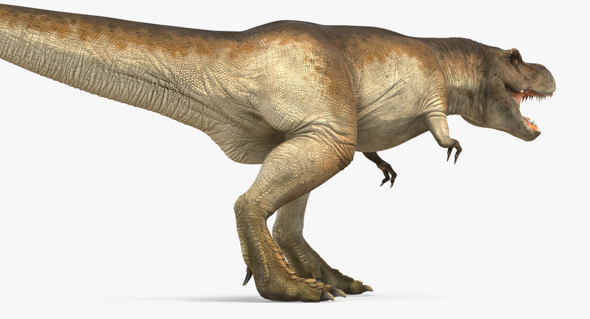tyrannosaurus rex walking max https://p.turbosquid.com/ts-thumb/l0/u7BYqB/ukjEykVa/tyrannosaurusrexwalkingmb3dmodel013/jpg/1484898017/1920x1080/fit_q87/e514b404b6fa48da4e1fe73e77501397332b2dab/tyrannosaurusrexwalkingmb3dmodel013.jpg
