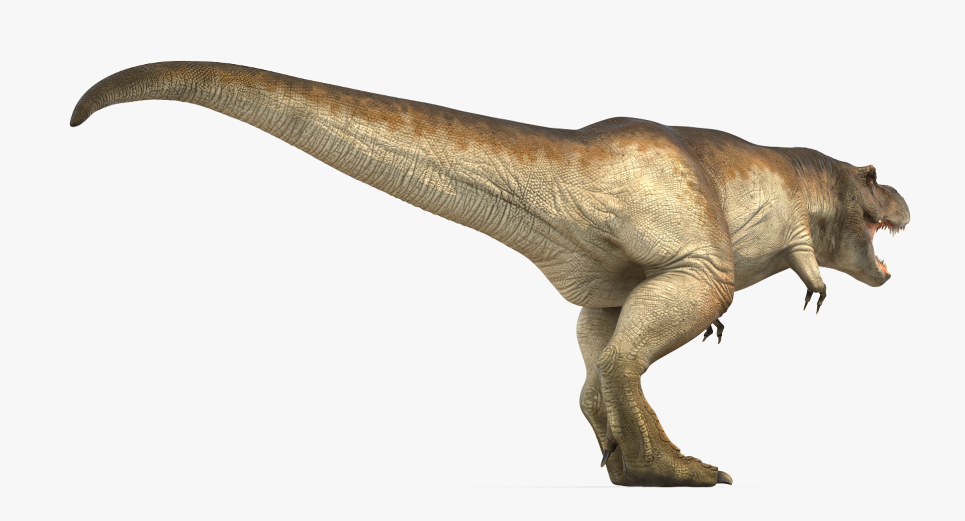 tyrannosaurus rex walking max https://p.turbosquid.com/ts-thumb/l0/u7BYqB/wciY3ylI/tyrannosaurusrexwalkingmb3dmodel011/jpg/1484898017/1920x1080/fit_q87/12c66dc9e90b3e83b07e33e323146dc6a61fdc68/tyrannosaurusrexwalkingmb3dmodel011.jpg