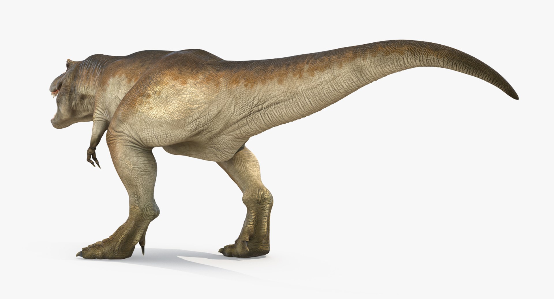 tyrannosaurus rex walking max https://p.turbosquid.com/ts-thumb/l0/u7BYqB/ydUx2TdM/tyrannosaurusrexwalkingmb3dmodel004/jpg/1484898017/1920x1080/fit_q87/d386f217e187c6939d3a58d6a5c9fd147251de5c/tyrannosaurusrexwalkingmb3dmodel004.jpg