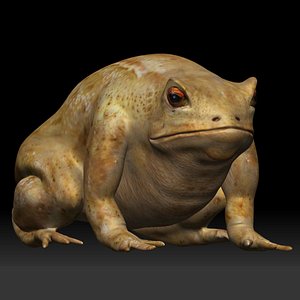 Cane Toad frog bullfrog 3D model