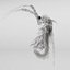 3D Daphnia Rigged