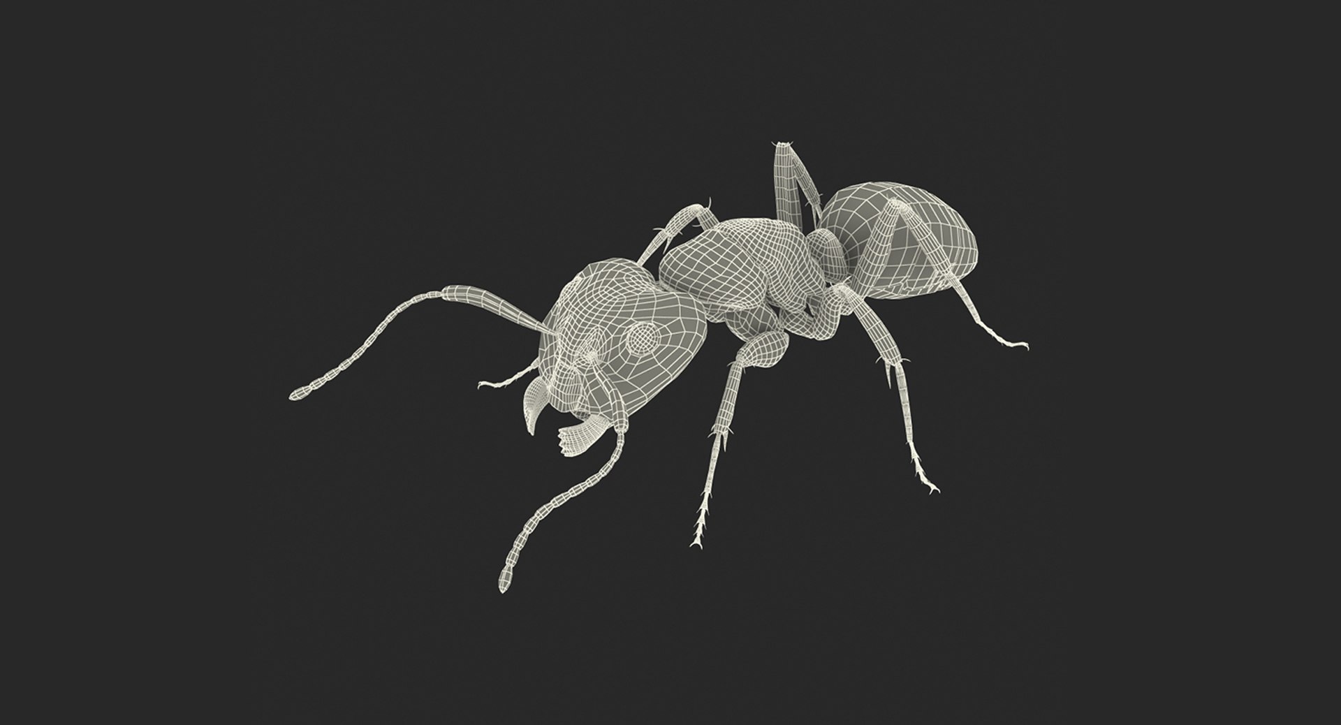 3D model creeping insects 5 https://p.turbosquid.com/ts-thumb/l1/6e4fkW/2CfaPf40/creepinginsectscollection5vray3dmodel073/jpg/1604666036/1920x1080/fit_q87/f5b3433344f2c8bd40bb64f9a9ec0f75c15dd79b/creepinginsectscollection5vray3dmodel073.jpg