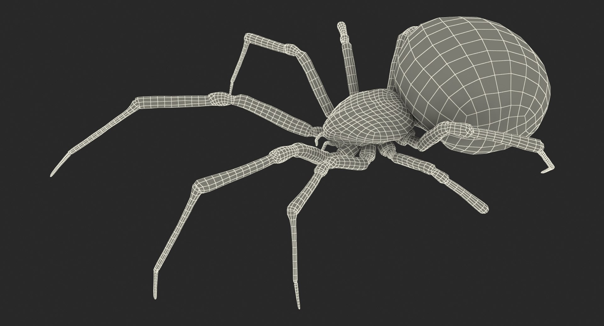 3D model creeping insects 5 https://p.turbosquid.com/ts-thumb/l1/6e4fkW/4TL02UGE/creepinginsectscollection5vray3dmodel070/jpg/1604666036/1920x1080/fit_q87/1e627b975cfb4f99a738c02198dfb1b30e5f242e/creepinginsectscollection5vray3dmodel070.jpg