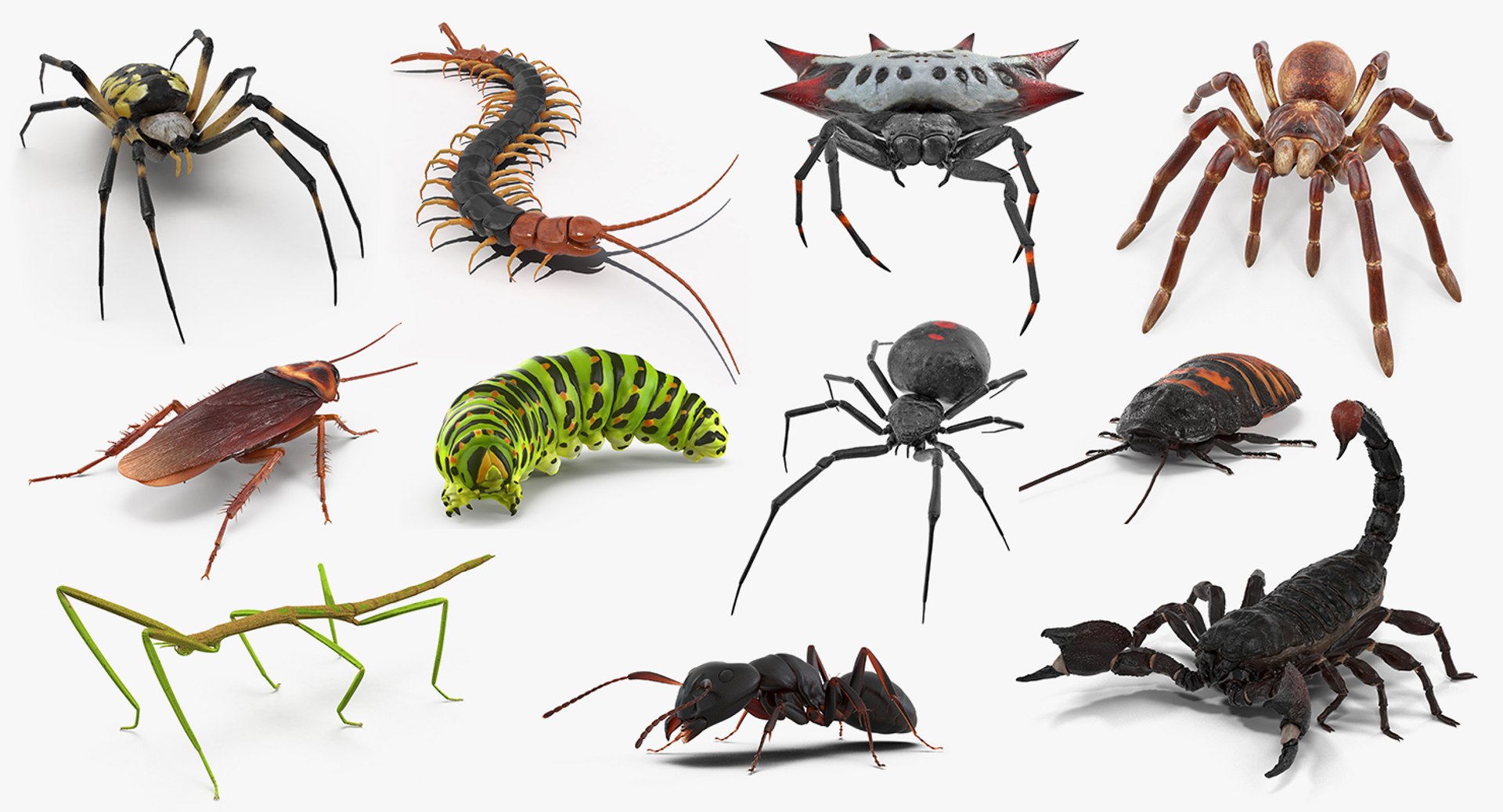 3D model creeping insects 5 https://p.turbosquid.com/ts-thumb/l1/6e4fkW/STBeTD4y/creepinginsectscollection5vray3dmodel001/jpg/1604666034/1920x1080/fit_q87/3c0da0c5ff9fa4404f0281a59ea22ba1a7c9f836/creepinginsectscollection5vray3dmodel001.jpg