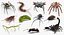 Creeping Insects Collection 5