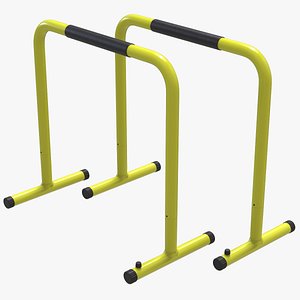 3D Parallel Bar Equipment