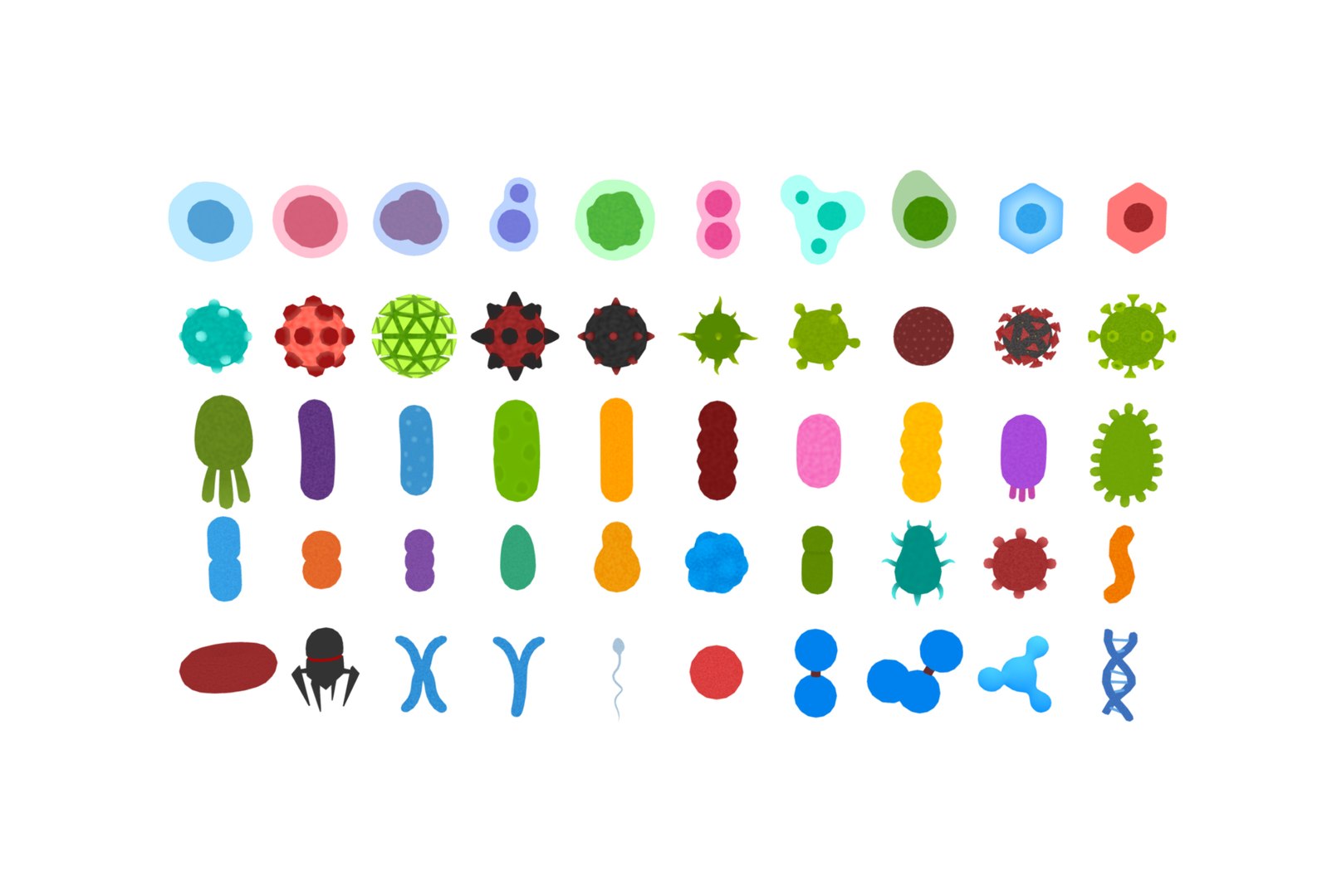 3D Biology Pack Model - TurboSquid 1721209