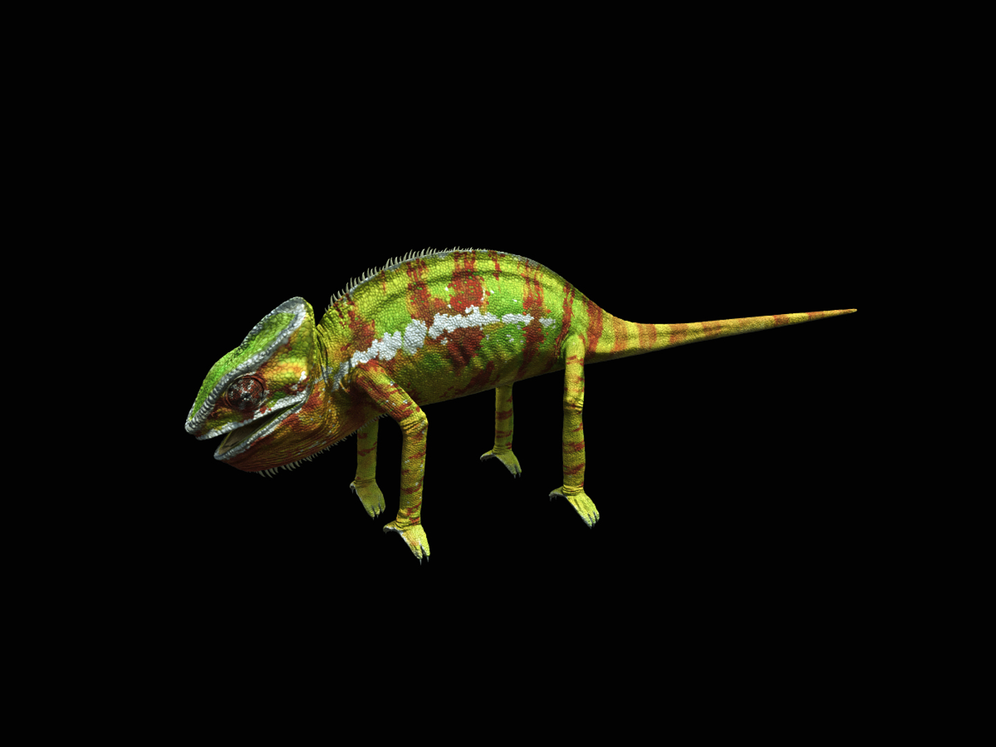 3d model chameleon tongue https://p.turbosquid.com/ts-thumb/l1/Feo2Mb/2AMGfSos/chameleone/png/1381926503/1920x1080/turn_fit_q99/4b4622d3b38d11b48f096f7b0b947c4b7c2455e9/chameleone-1.jpg