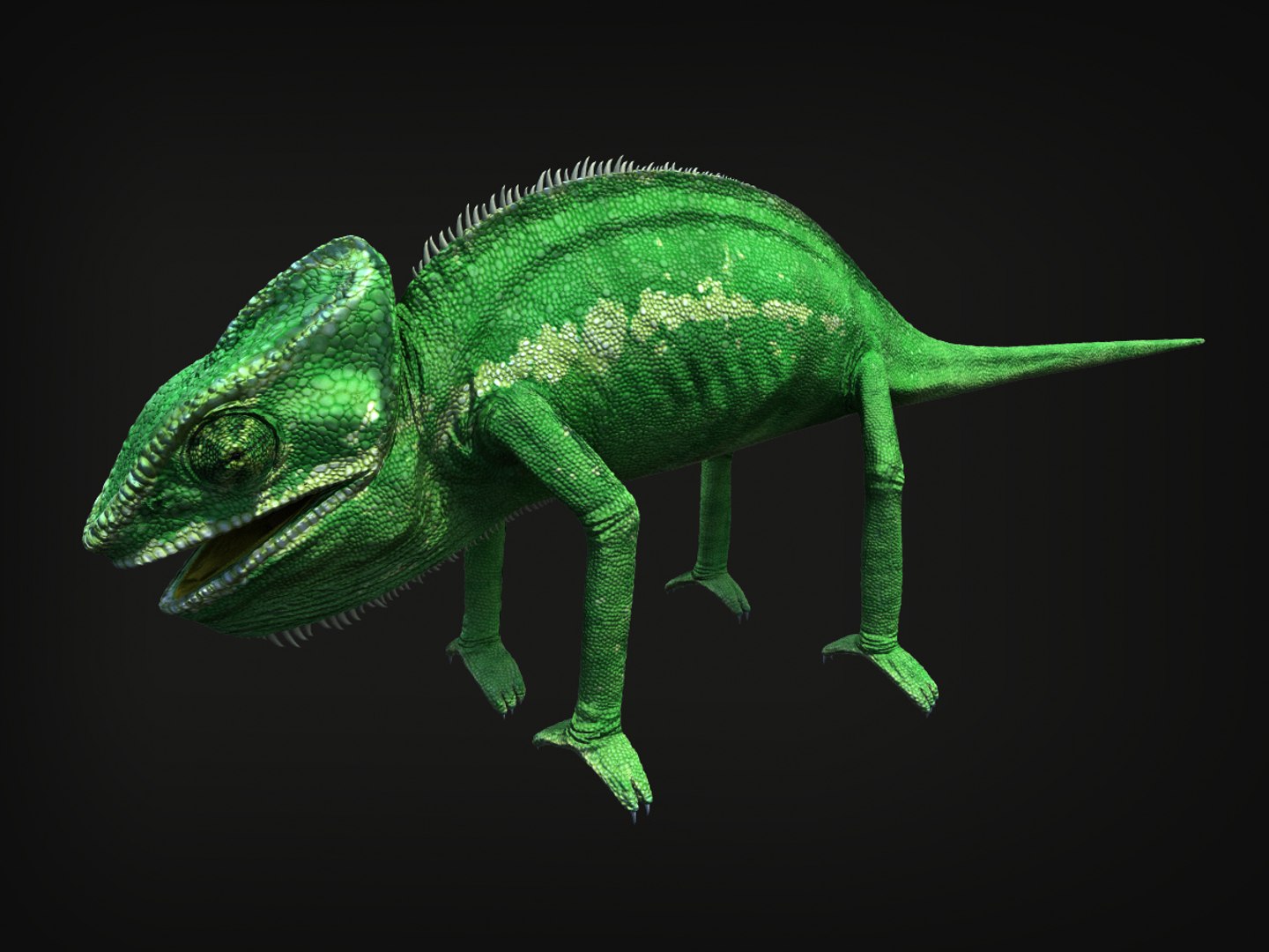 3d model chameleon tongue https://p.turbosquid.com/ts-thumb/l1/Feo2Mb/OtXjP639/3/jpg/1381247895/1920x1080/fit_q87/0ac19cb69484f77639f2daaa68b7fbf73c11e325/3.jpg