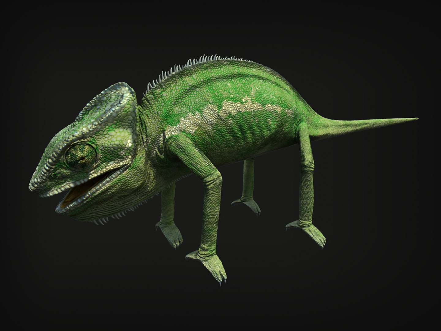 3d model chameleon tongue https://p.turbosquid.com/ts-thumb/l1/Feo2Mb/SOMpzxsa/2/jpg/1381247895/1920x1080/fit_q87/9004a1a406043c16af1341006429b1b6a484edec/2.jpg
