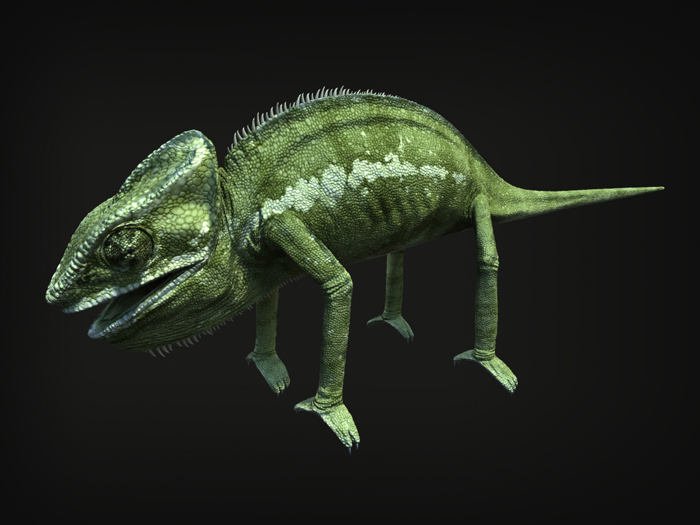 3d model chameleon tongue https://p.turbosquid.com/ts-thumb/l1/Feo2Mb/UPYRSKUy/5/jpg/1381247896/1920x1080/fit_q87/3c84db8d9fa75e430c9dc4fd7dfdf9c170529102/5.jpg