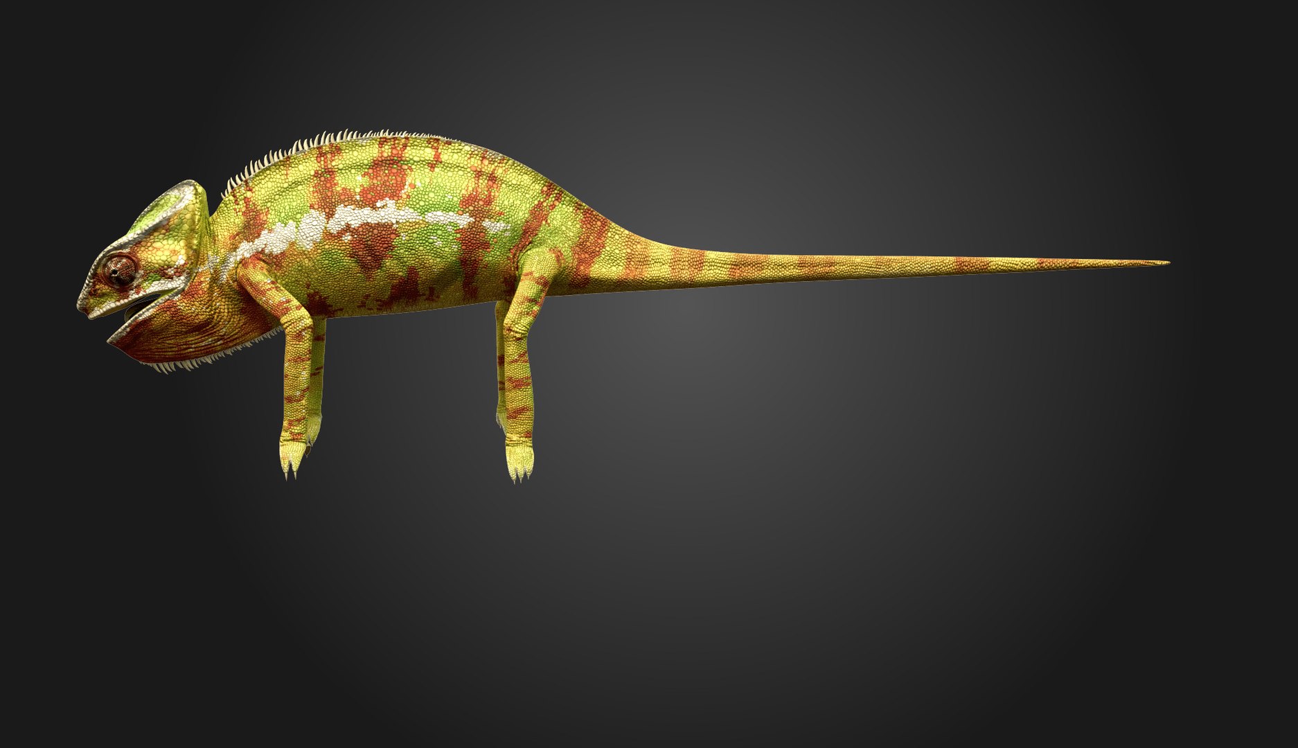3d model chameleon tongue https://p.turbosquid.com/ts-thumb/l1/Feo2Mb/b5OLsQ8m/chameleon0006/jpg/1352802048/1920x1080/fit_q87/b22a23bb85a81550134a28a0e40e28a1d197d318/chameleon0006.jpg