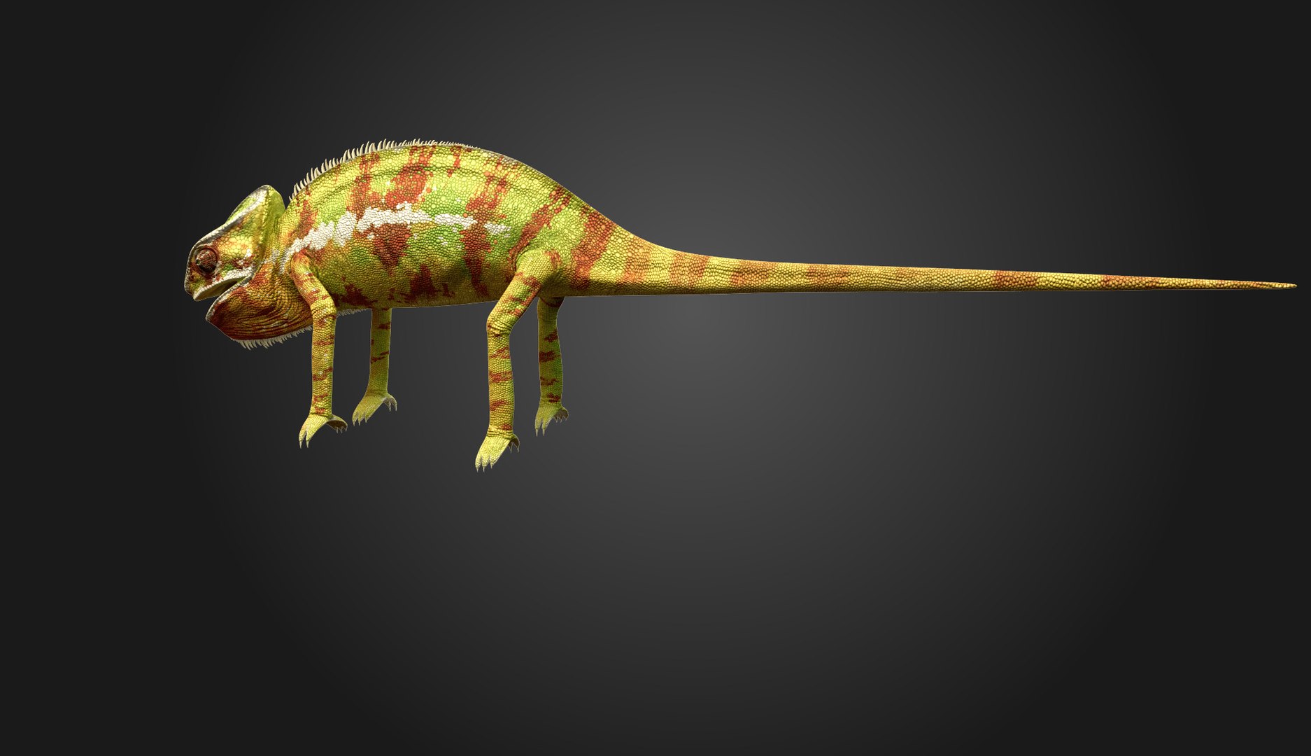 3d model chameleon tongue https://p.turbosquid.com/ts-thumb/l1/Feo2Mb/t3gRbBy4/chameleon0007/jpg/1352802048/1920x1080/fit_q87/f6625297eba8383c5a0a7bf3cad680aef34472a6/chameleon0007.jpg