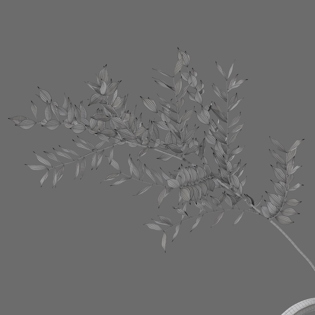 3D Decor Set 83 Ruscus model - TurboSquid 2090304