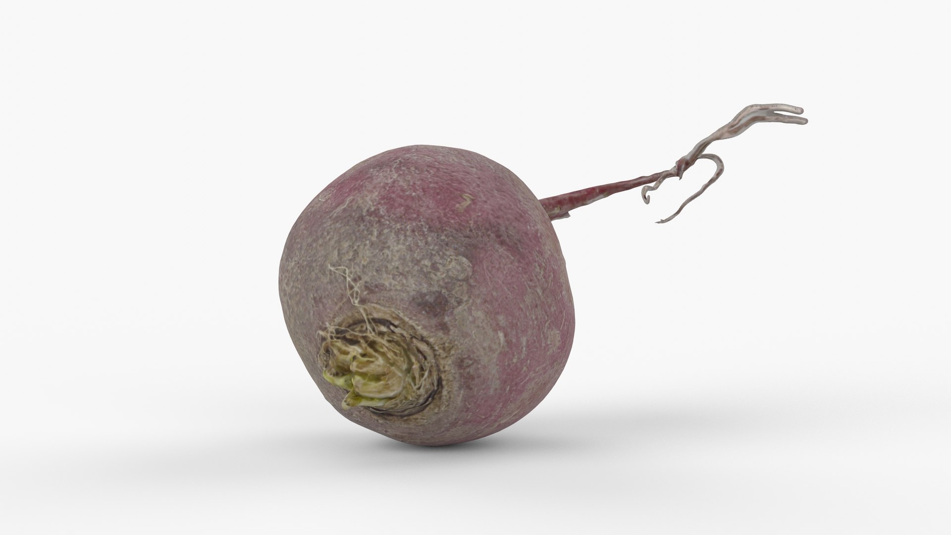 3D Photorealistic 3D Scan Of Pink Radish Model - TurboSquid 2348492
