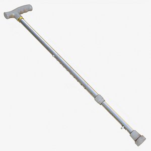 Cane 01 c