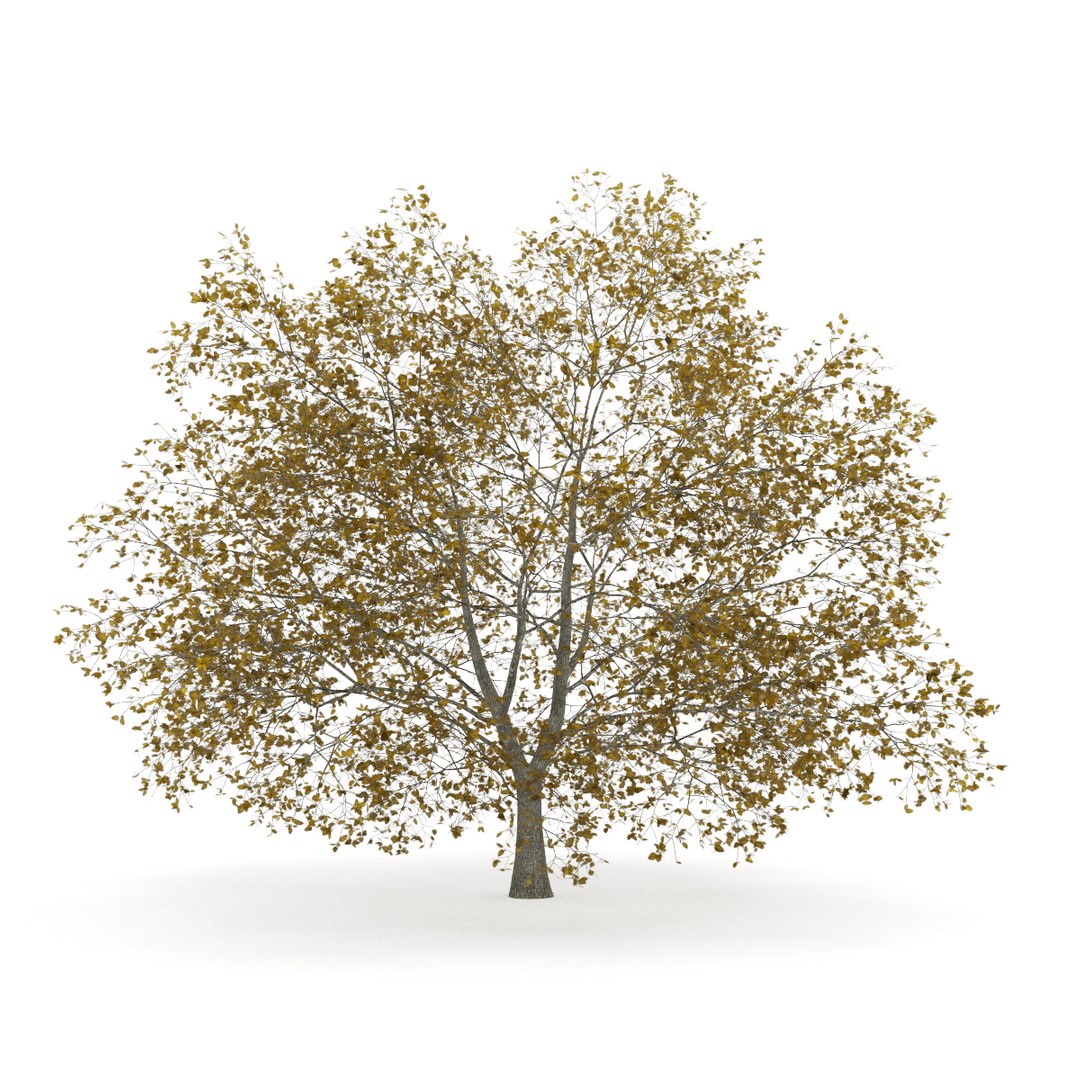 3d volume 28 trees iii model https://p.turbosquid.com/ts-thumb/l1/lkKD8o/1oKtvId6/20b0000copy/jpg/1361026930/1920x1080/fit_q87/a967e85f430cc190a4c1dd1aca8738935d594b9c/20b0000copy.jpg