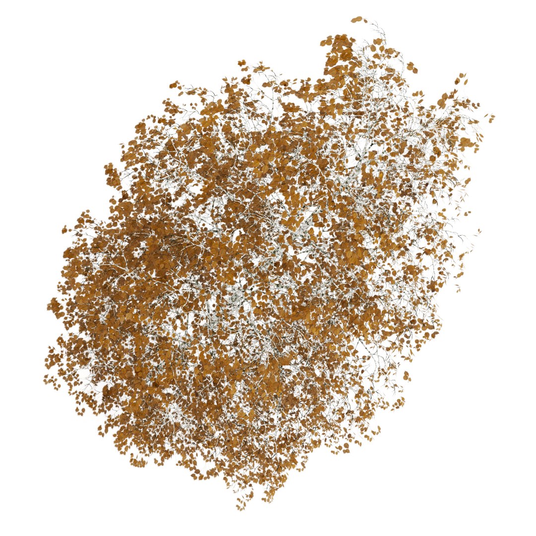 3d volume 28 trees iii model https://p.turbosquid.com/ts-thumb/l1/lkKD8o/22yBYH48/14b0000copy/jpg/1361026930/1920x1080/fit_q87/05e420939172e1ef48dd7cc63e5cf7a3a981c70e/14b0000copy.jpg