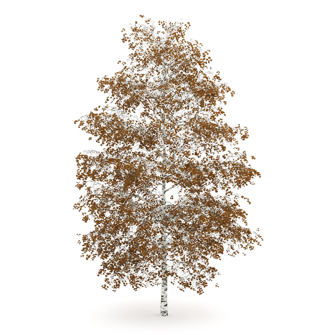 3d volume 28 trees iii model https://p.turbosquid.com/ts-thumb/l1/lkKD8o/6C1gyYxl/14acopy/jpg/1361026929/1920x1080/fit_q87/4b1042d6a293897e045aecba724cfdde36bf11e9/14acopy.jpg