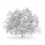 CGAxis Models Volume 28 Trees III