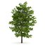 CGAxis Models Volume 28 Trees III
