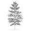 CGAxis Models Volume 28 Trees III