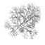 CGAxis Models Volume 28 Trees III