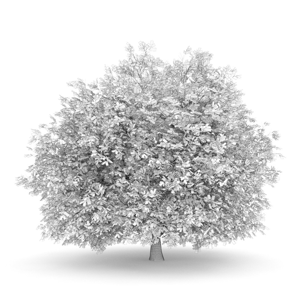 3d volume 28 trees iii model https://p.turbosquid.com/ts-thumb/l1/lkKD8o/9byDolP2/25agrid0000copy/jpg/1361026931/1920x1080/fit_q87/5705bdb6b57d0b57ee03b36d43b72ecc3503be3c/25agrid0000copy.jpg