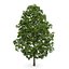 CGAxis Models Volume 28 Trees III