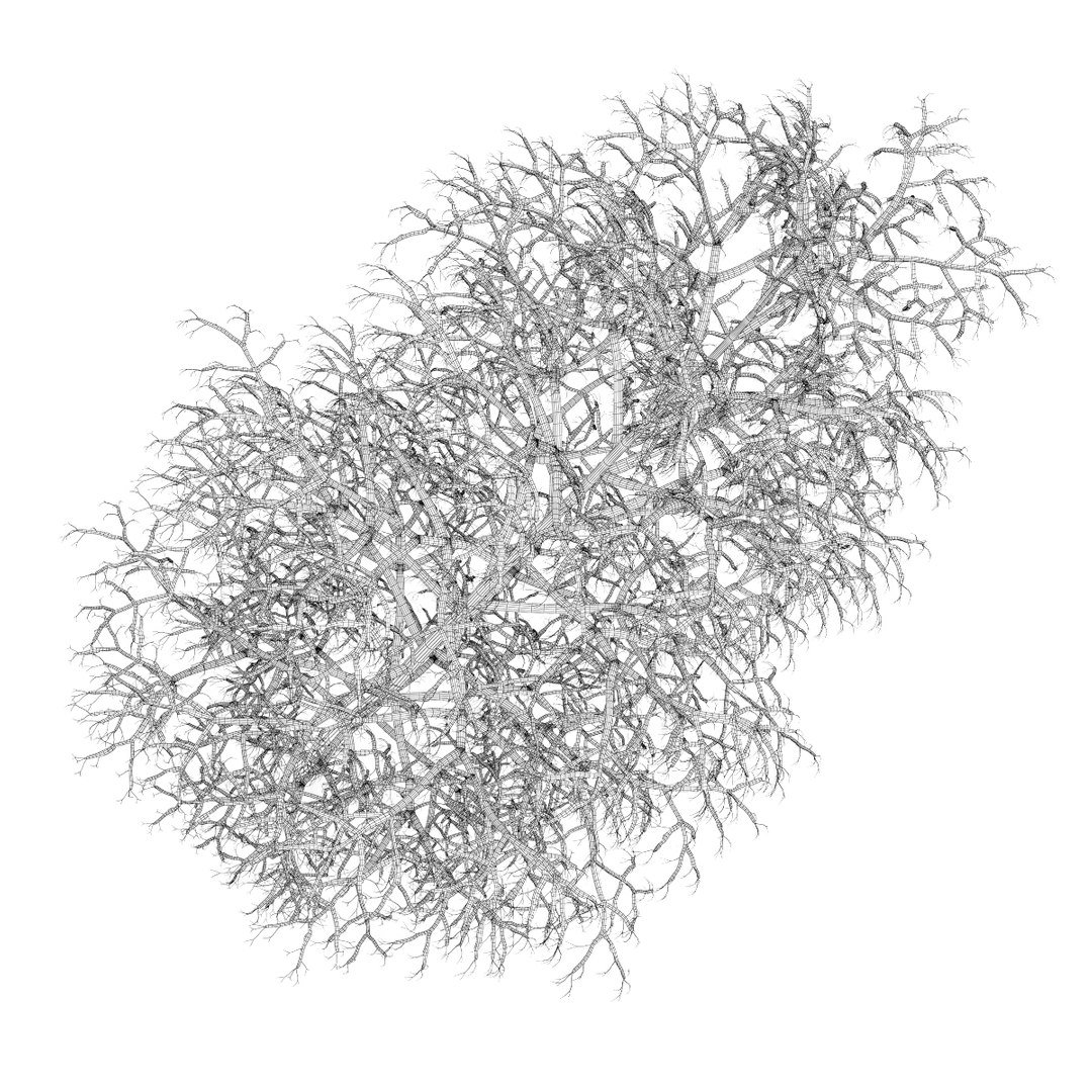 3d volume 28 trees iii model https://p.turbosquid.com/ts-thumb/l1/lkKD8o/AmBTDtHr/15bgrid0000copy/jpg/1361026930/1920x1080/fit_q87/7ae62956fe6bc46e784c152e0aa197e7b33573d5/15bgrid0000copy.jpg