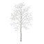 CGAxis Models Volume 28 Trees III