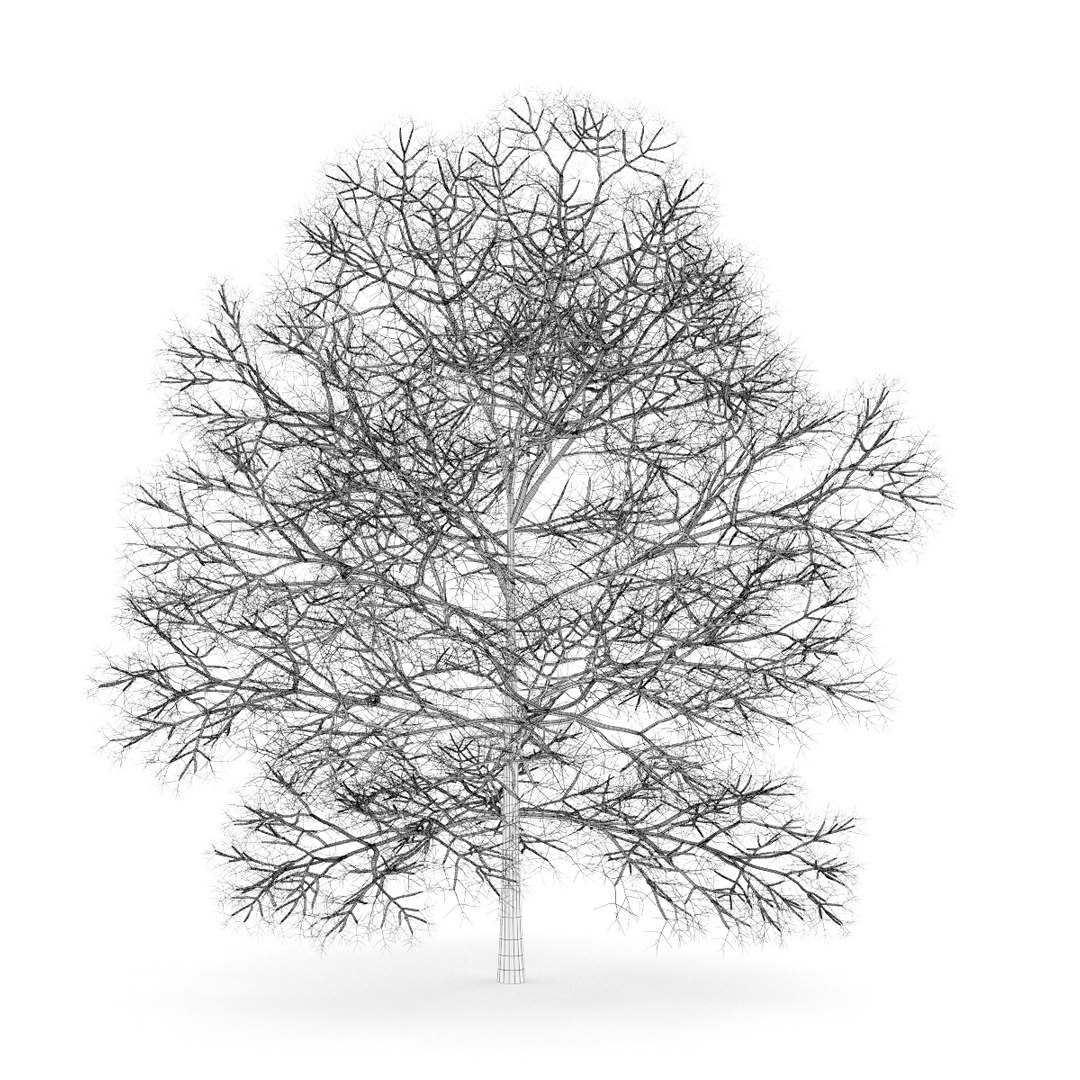 3d volume 28 trees iii model https://p.turbosquid.com/ts-thumb/l1/lkKD8o/DjHzTYf8/30agrid0000copy/jpg/1361026931/1920x1080/fit_q87/910fa84490b3641bc743e03562af7d08b0654a4b/30agrid0000copy.jpg