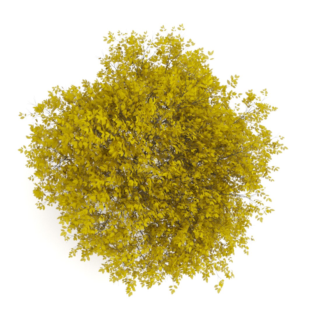 3d volume 28 trees iii model https://p.turbosquid.com/ts-thumb/l1/lkKD8o/GNkmgNV8/26b0000copy/jpg/1361026931/1920x1080/fit_q87/bb2d84f91aa9f4f10f58b616a1d39f8b99d784a3/26b0000copy.jpg